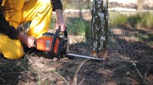 Mulching Services in Woodsville, NH